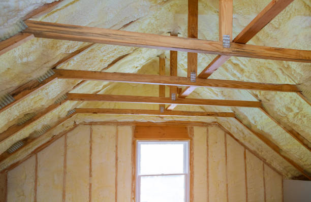 Best Blown-in Insulation in Galena, IL
