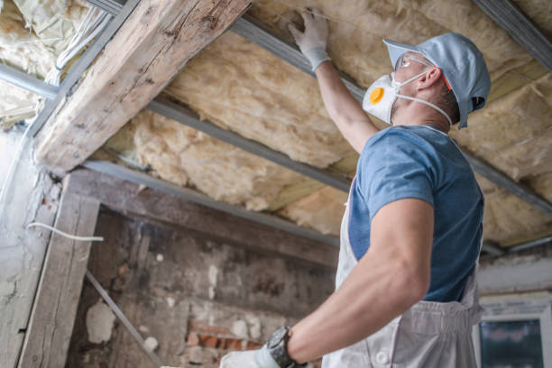 Types of Insulation We Offer in Galena, IL